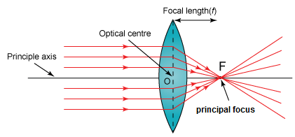 A textbook illustration of focus